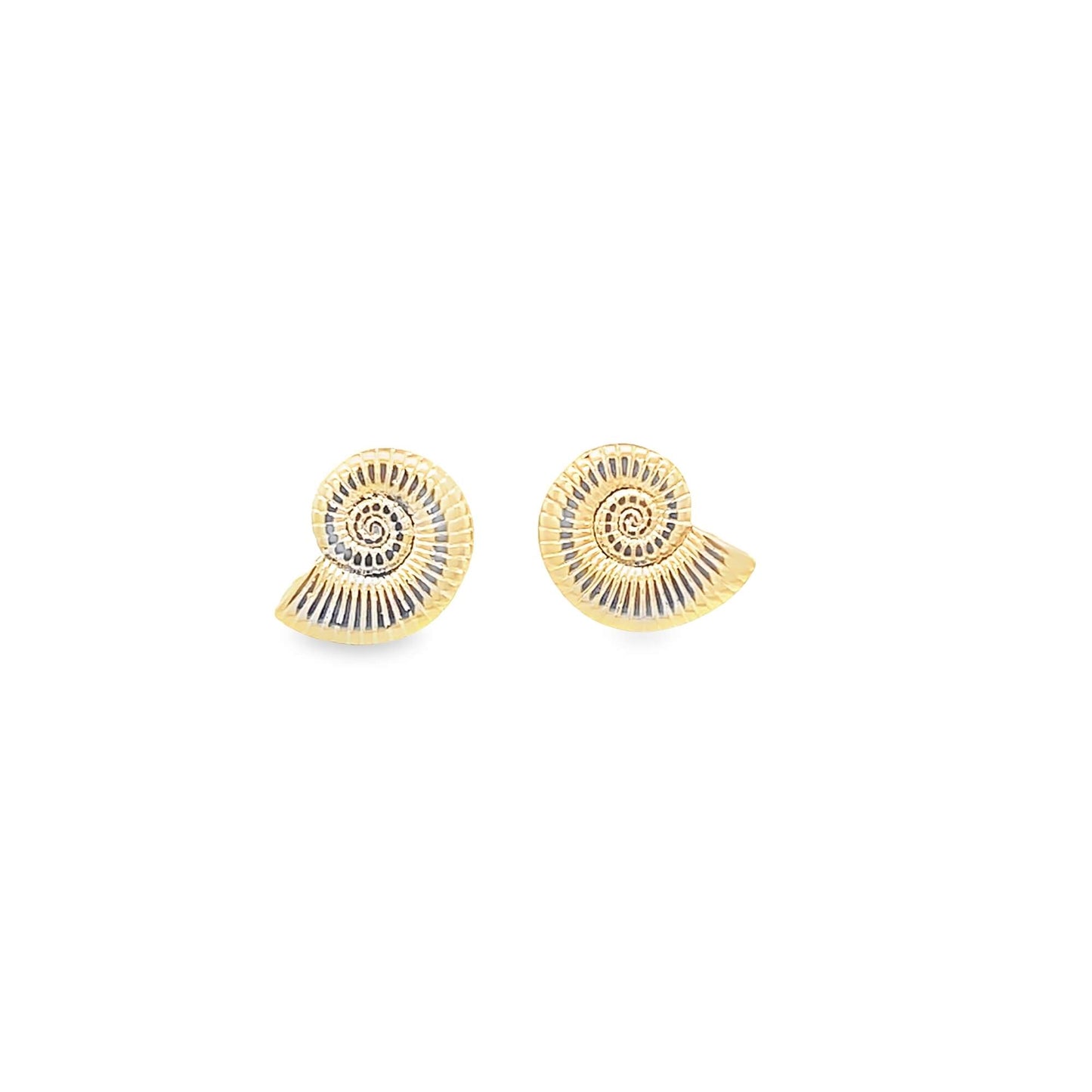 Sea Shell Swirl Earrings ~ Water Resistant