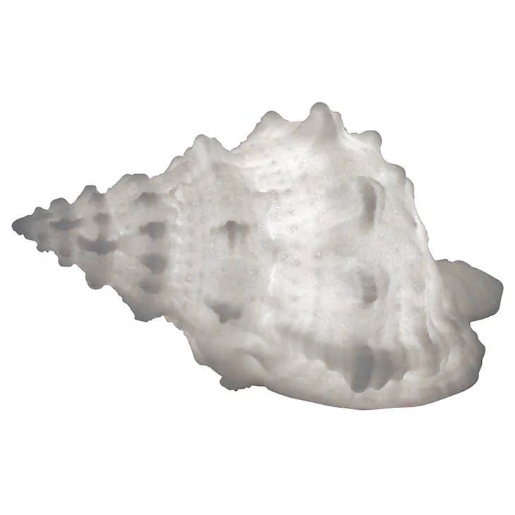 Sandstone Bursa Shell Light Box
