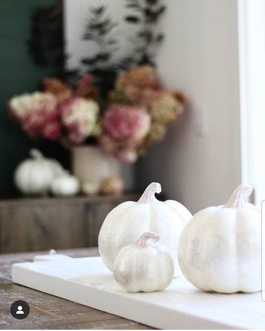 Small Capiz Pumpkin (White)