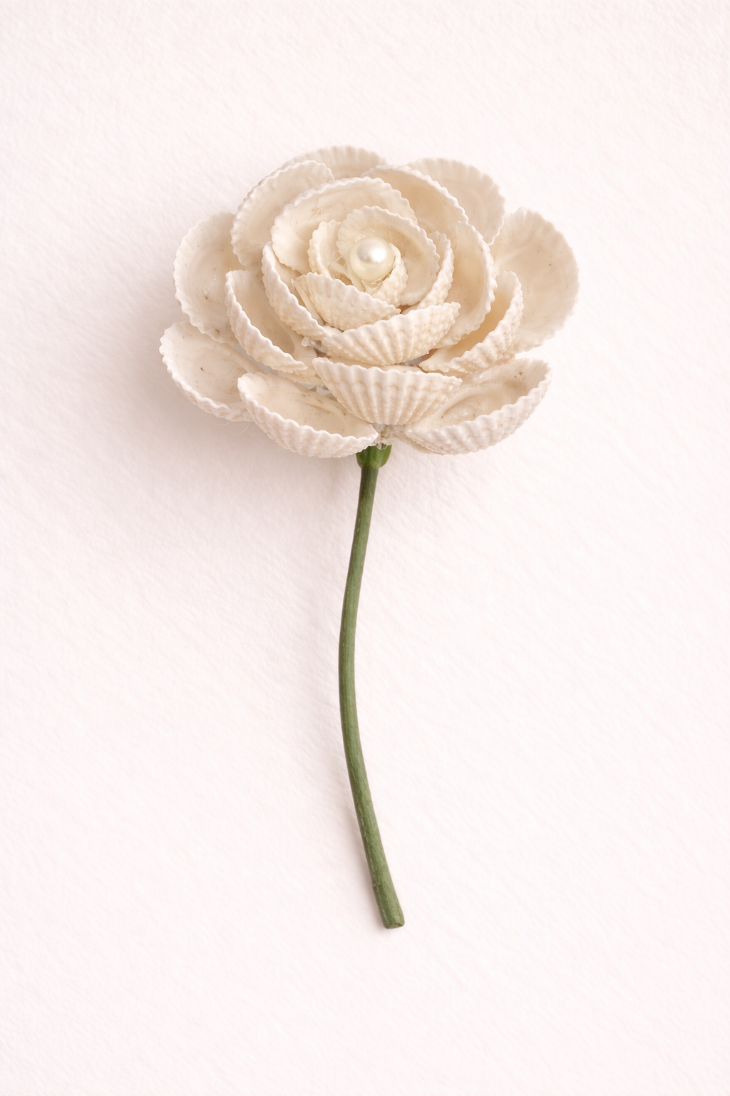 Ivory Shell Rose
