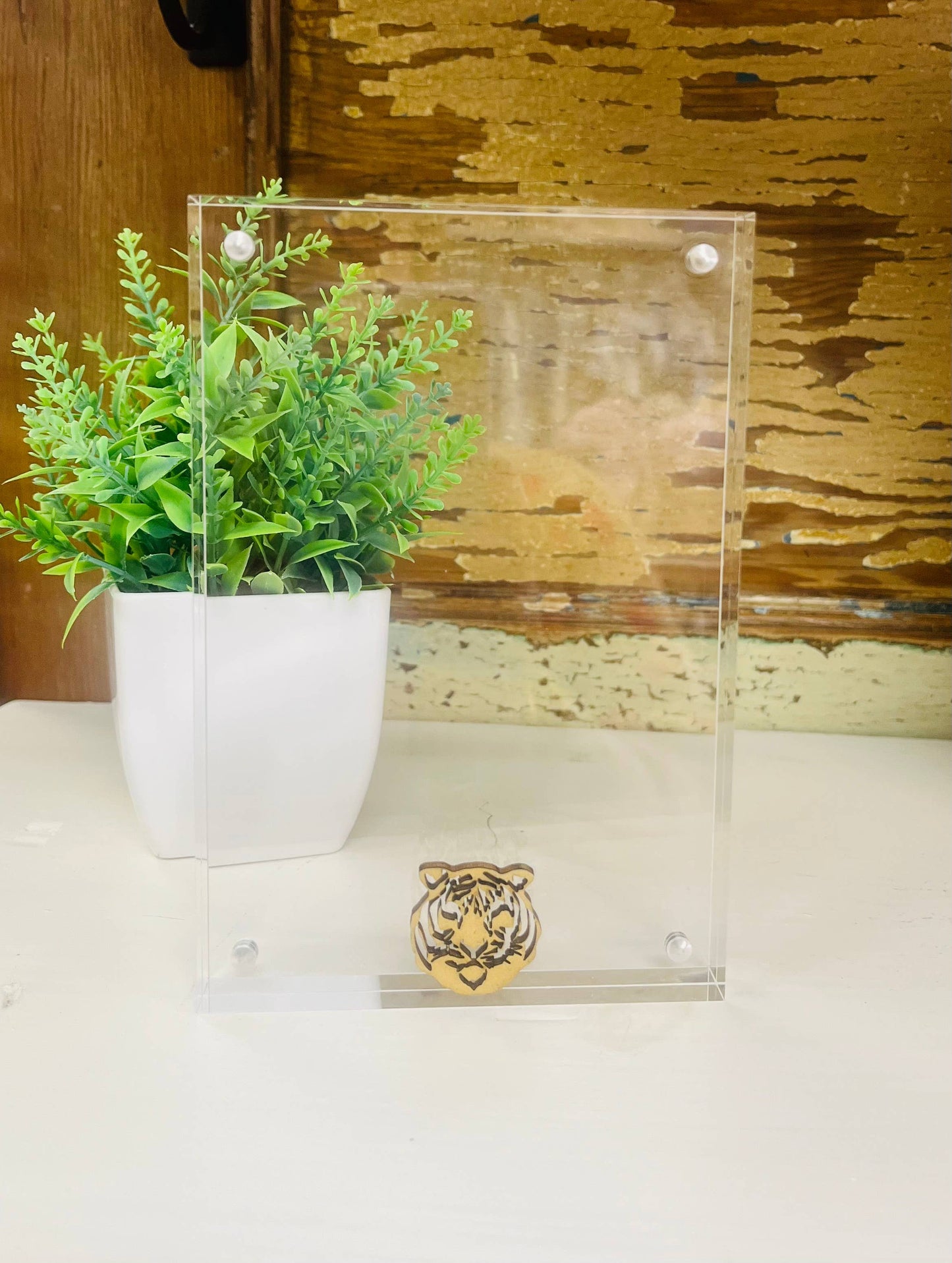 Tiger Magnetic Acrylic Picture Frame