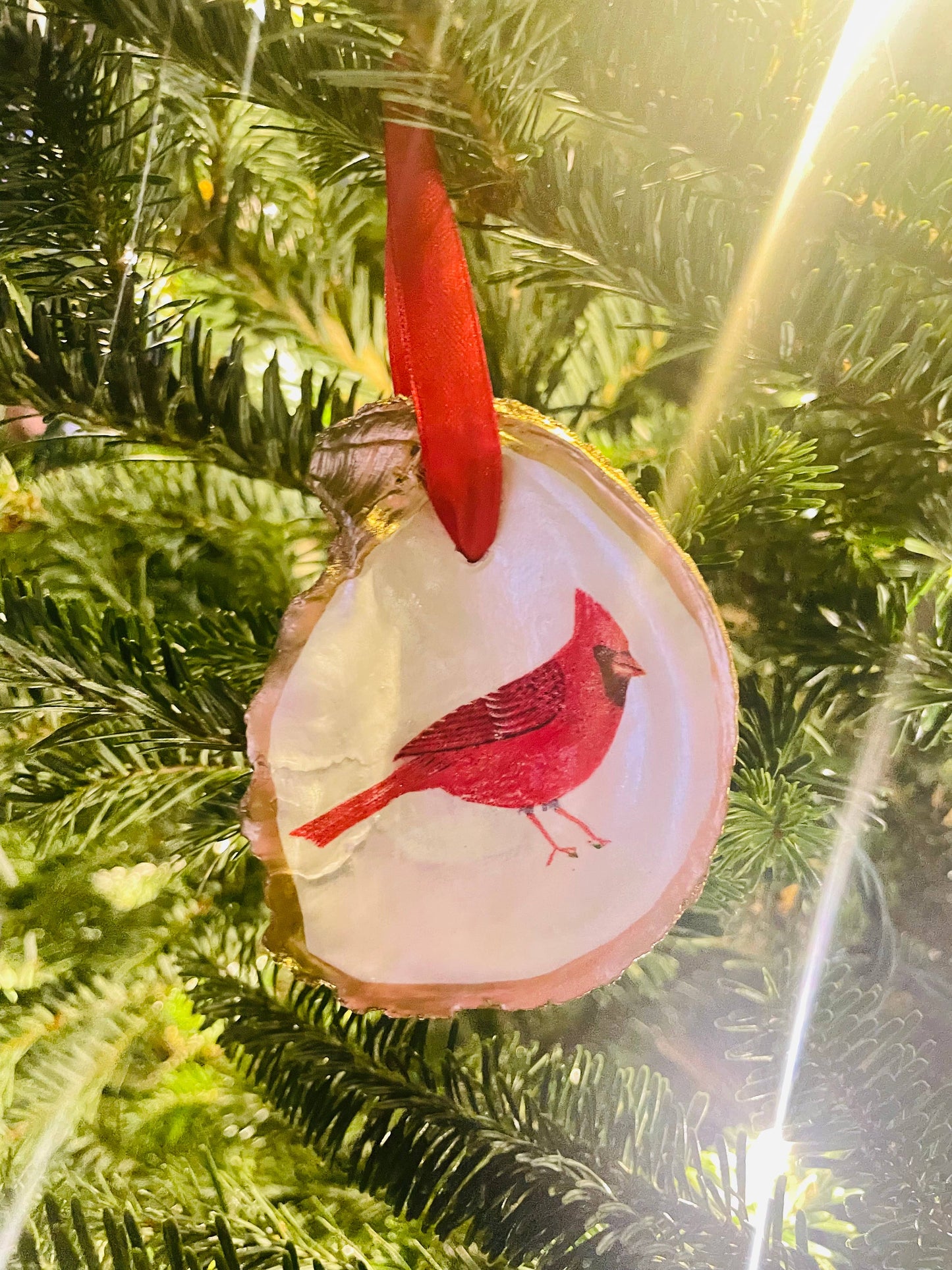 Cardinal Oyster Shell Ornament