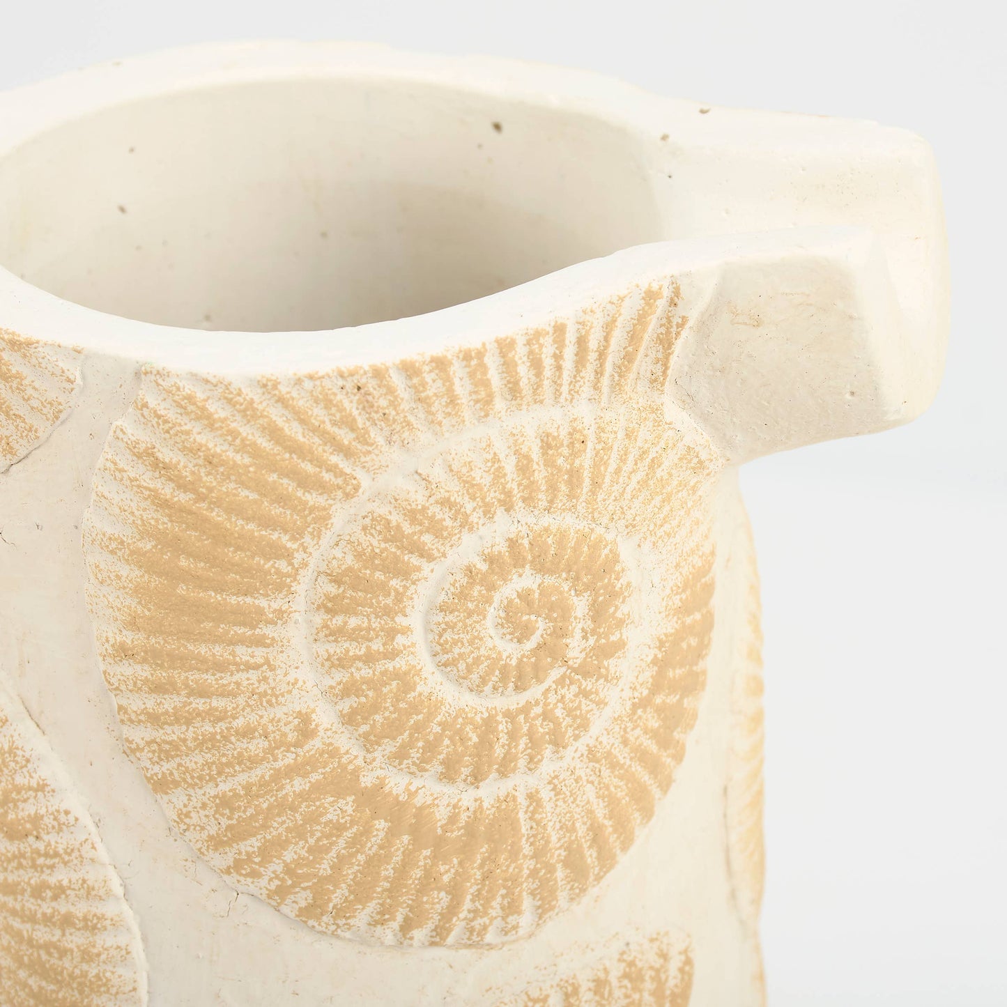 Nautilus Shell Pitcher