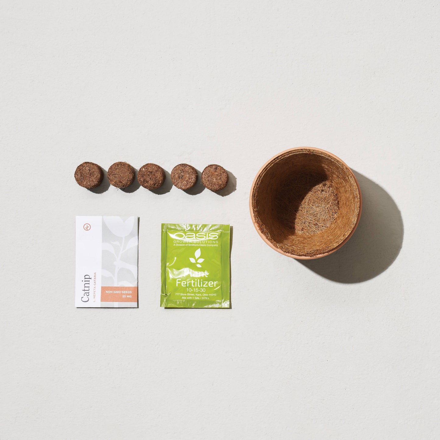 Tiny Terracotta Grow Kits~ Thank you Daisy Flowers