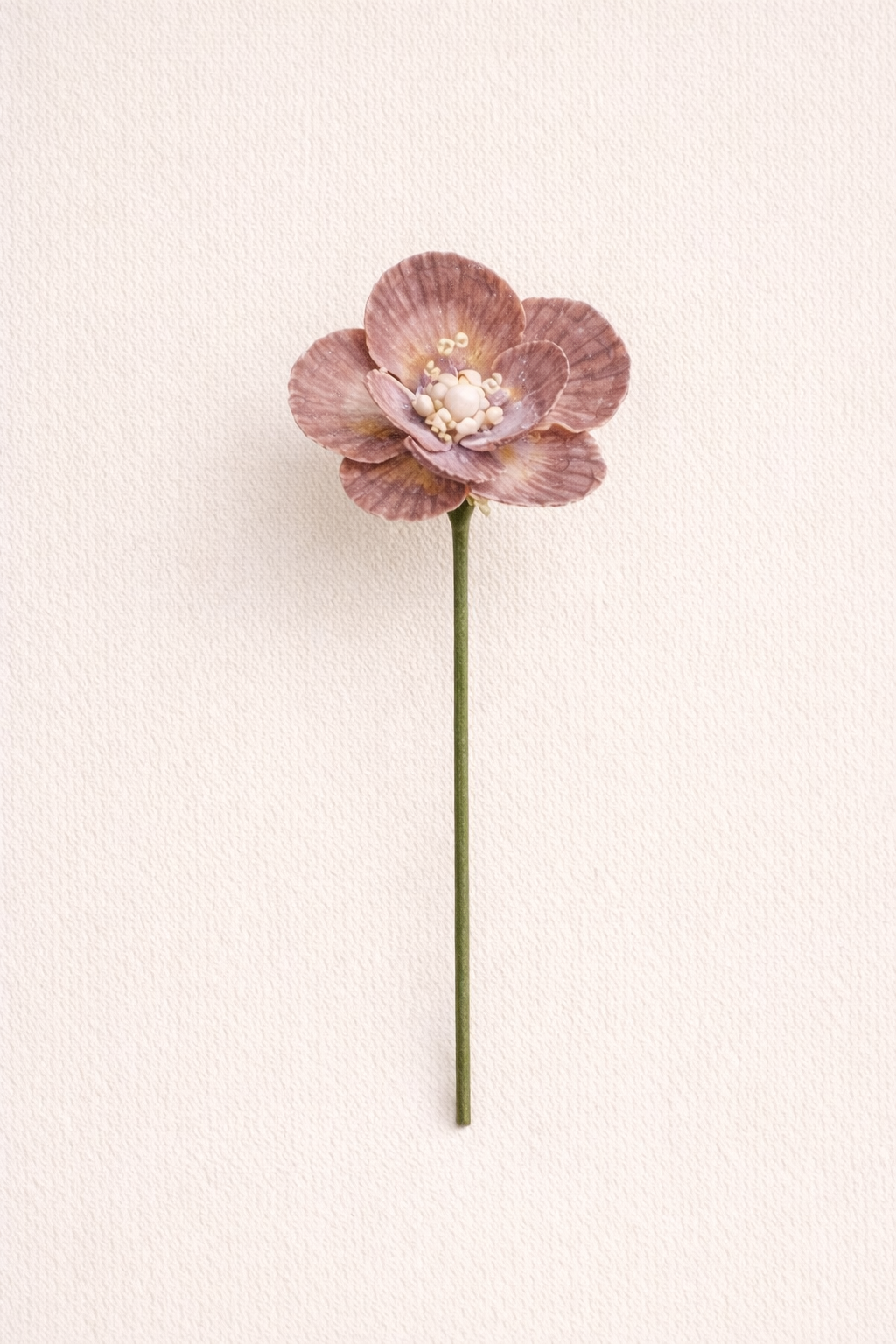 Drifted Scallop Bloom
