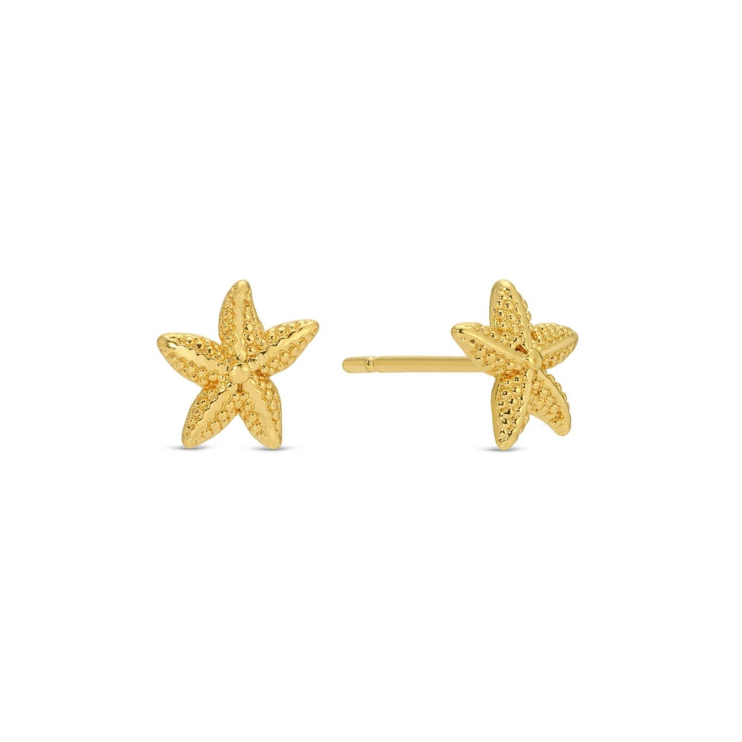 Pineapple And Starfish Velvet Set/3 Stud Gift Set