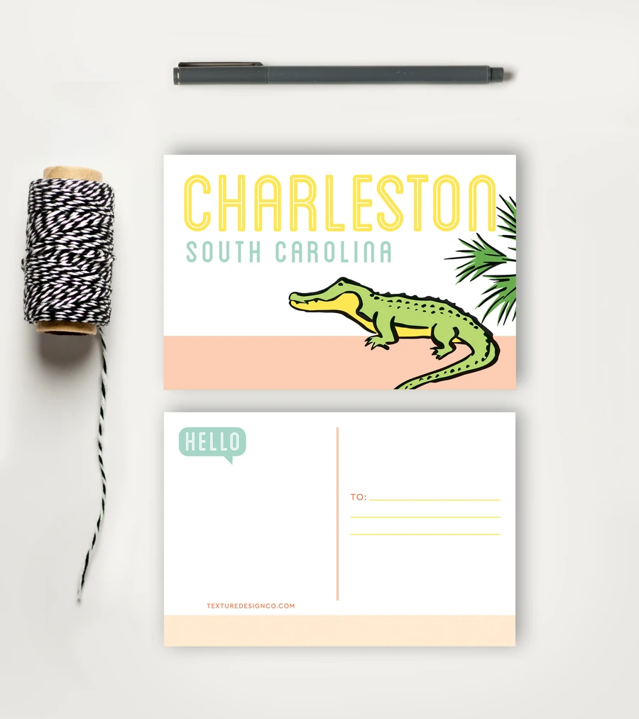 Charleston Alligator Sightseeing Postcard