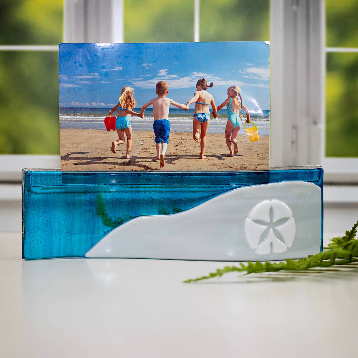 Picture Wave - Sand Dollar