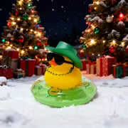 Summer Ducks