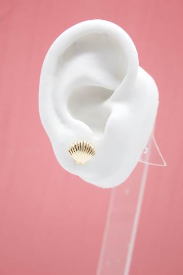 18K Gold Filled Sea Clam Shell Stud Earrings ~ Water Resistant