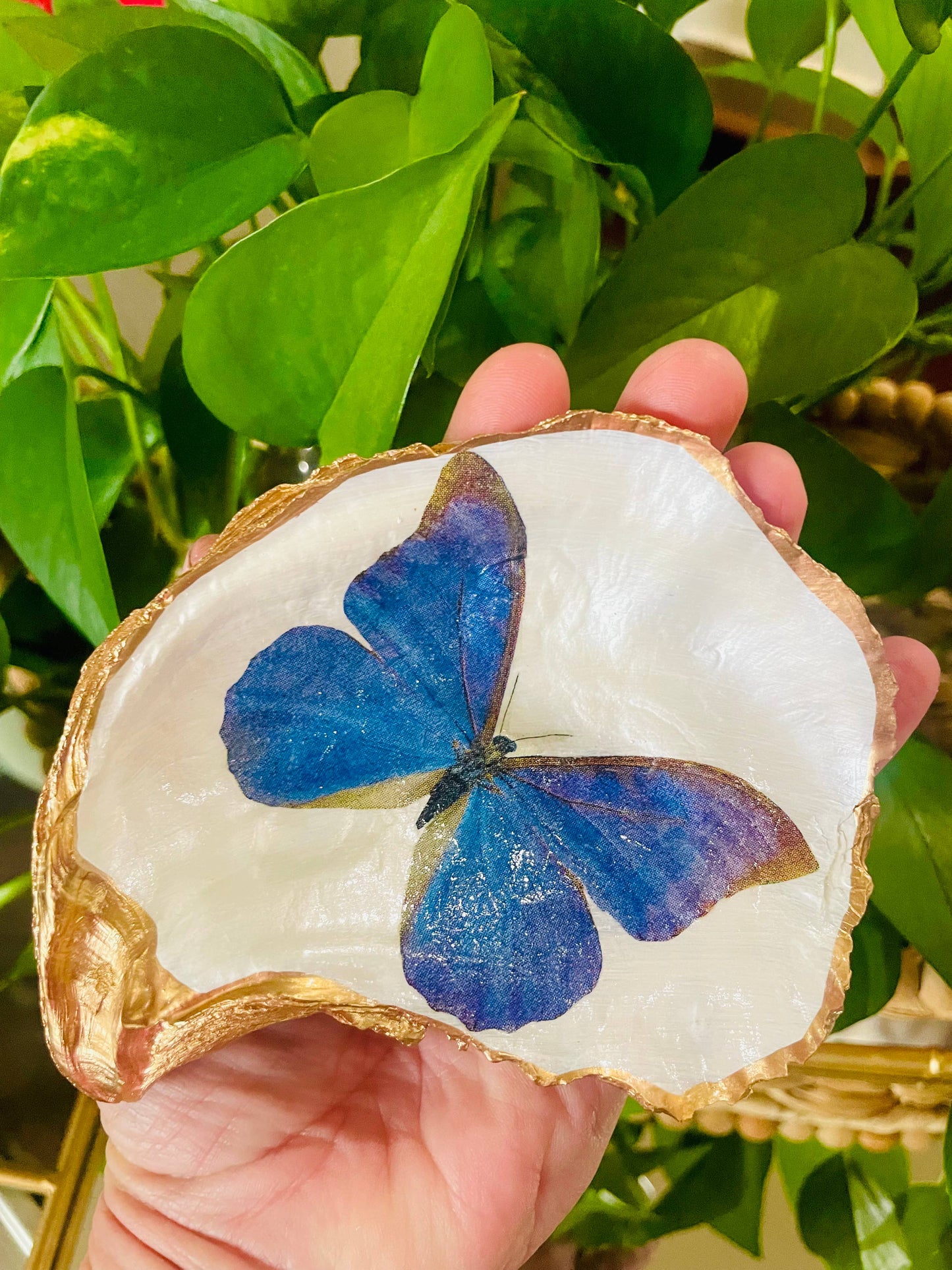 Butterfly Trinket Dish