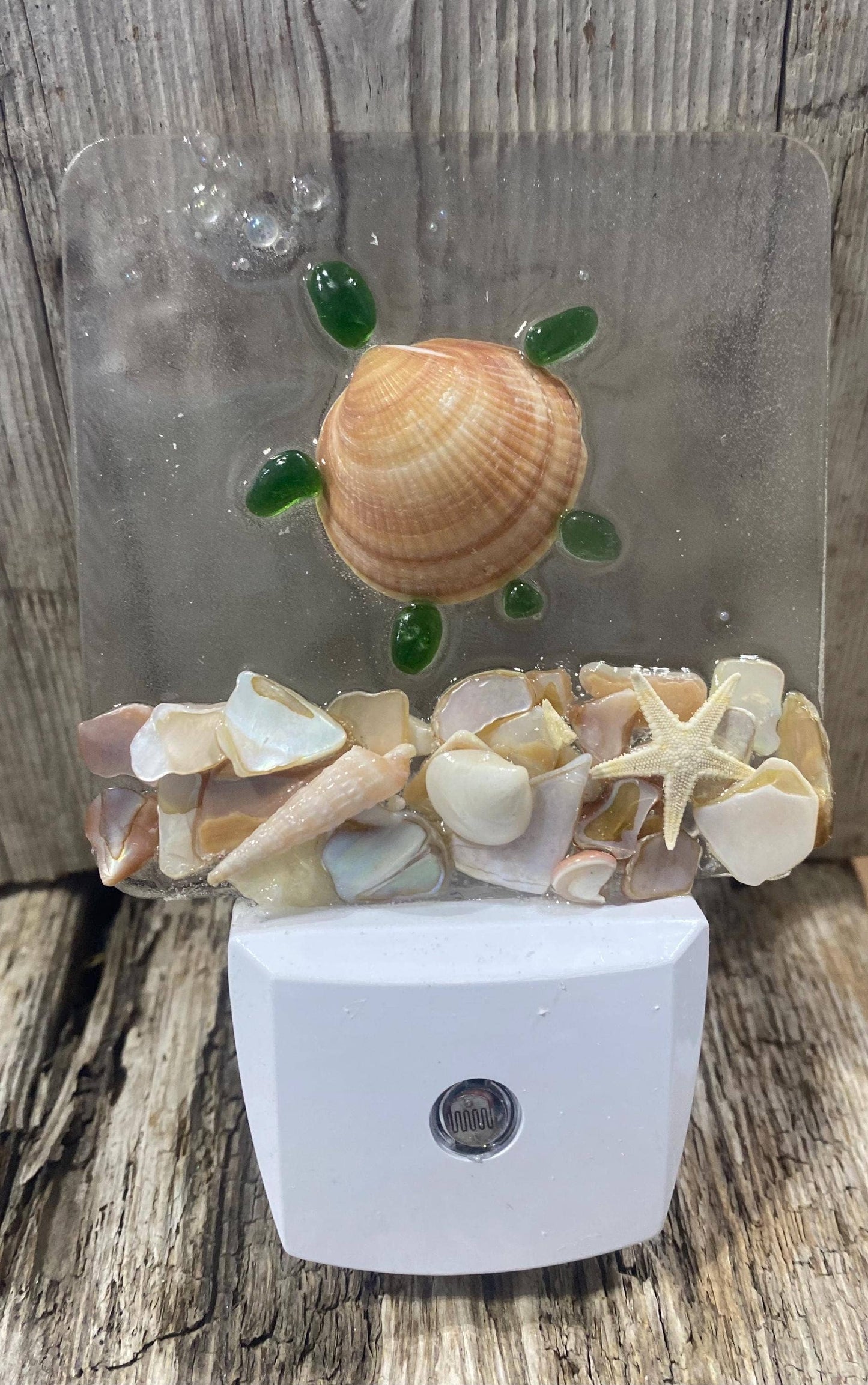 COASTAL Night Light- TURTLE, glass with shells