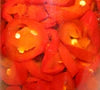 Candied Red Jalapeños