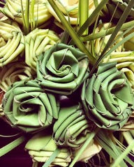 Palmetto Rose