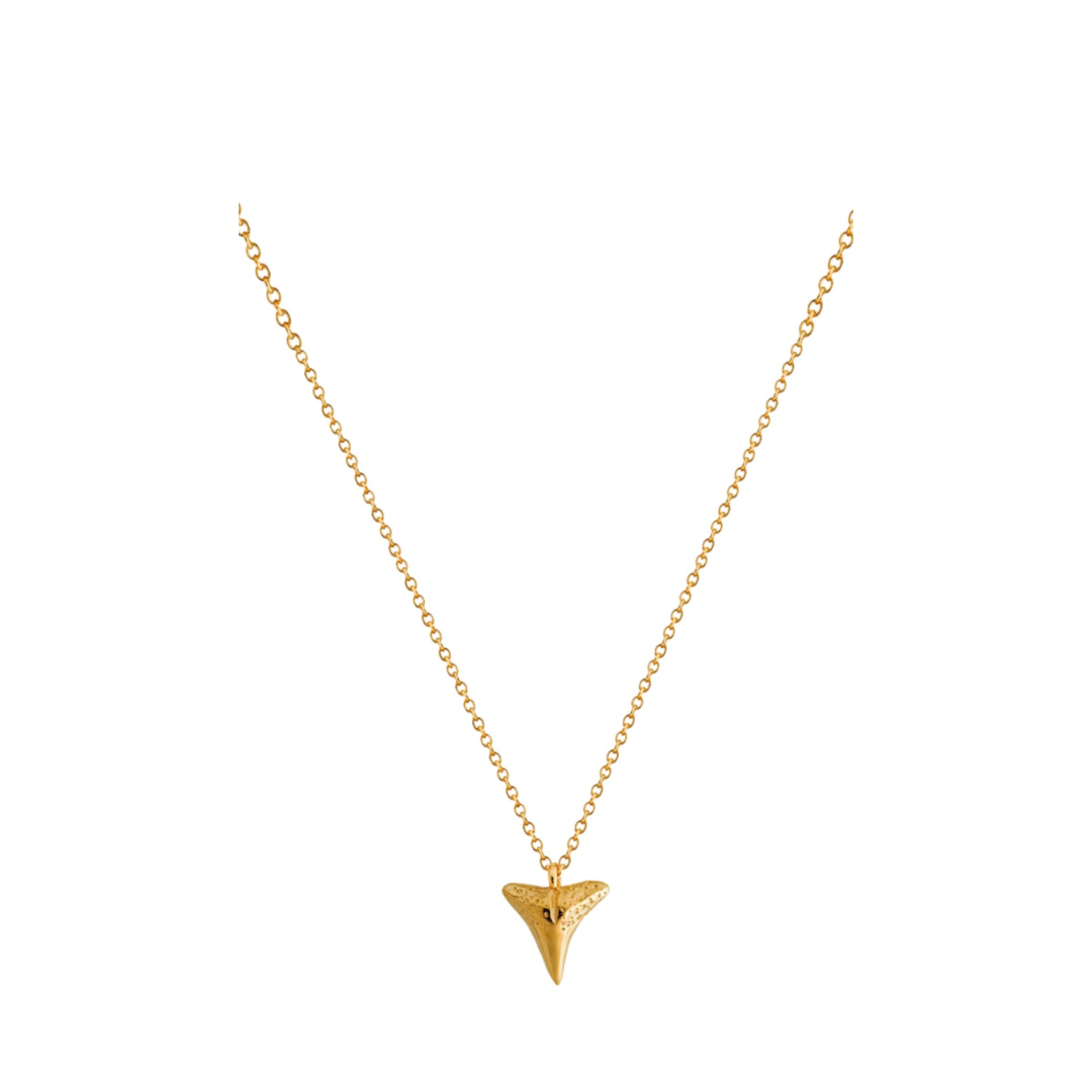 Franzie Golden Shark Tooth Pendant Necklace
