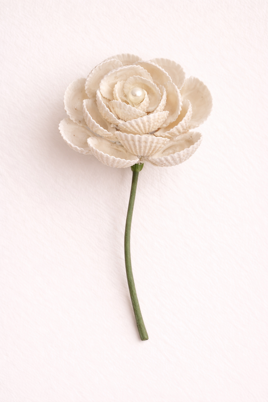 Ivory Shell Rose