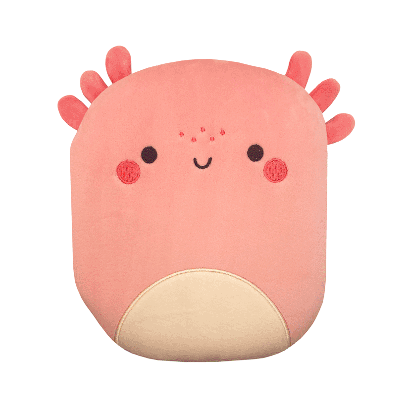 Board Book Squish and Snugg Groovy Axolotl