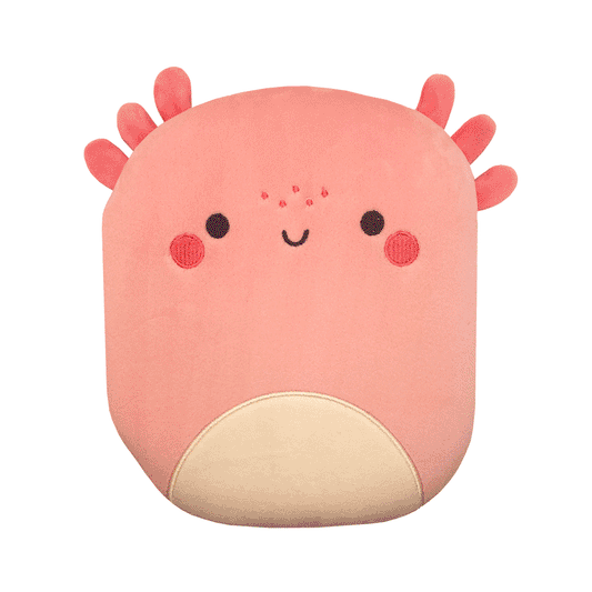 Board Book Squish and Snugg Groovy Axolotl