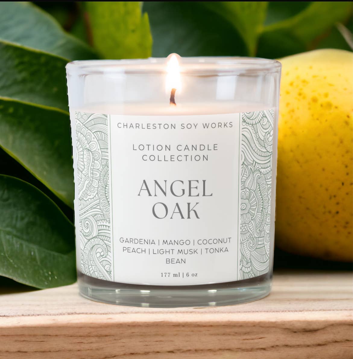 Angel Oak Lotion Candle