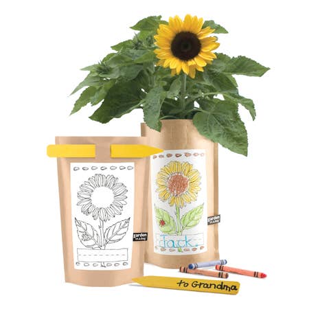 Kids Garden in a Bag | Sunflower