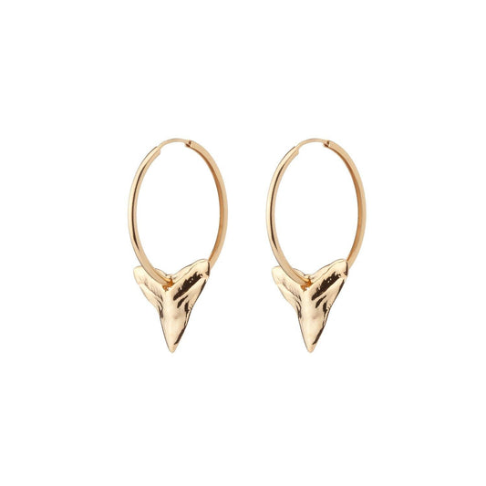 Maad Shark Hoops
