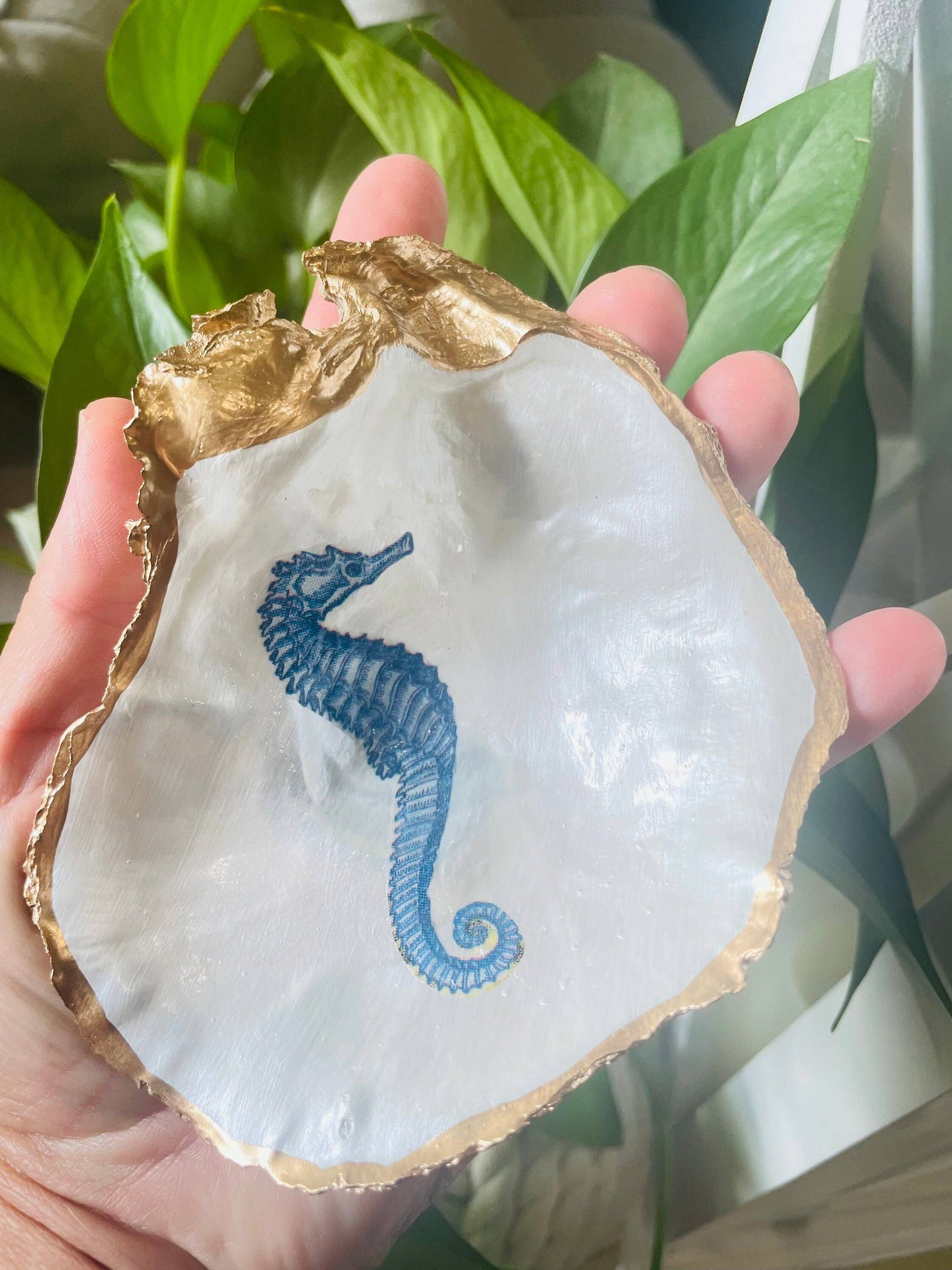 Oyster Shell Seahorse Trinket Dish