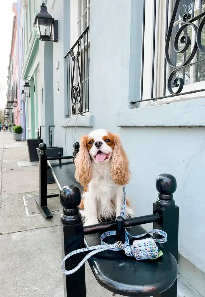 Rainbow Row Leash