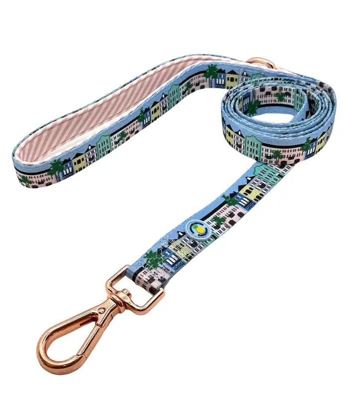 Rainbow Row Leash