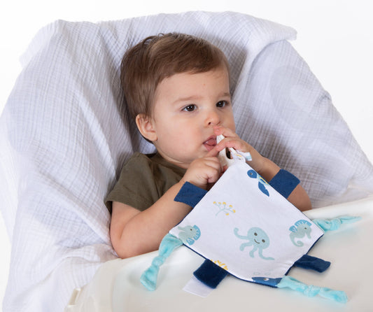 Blue Sea Life Crinkle Blankie