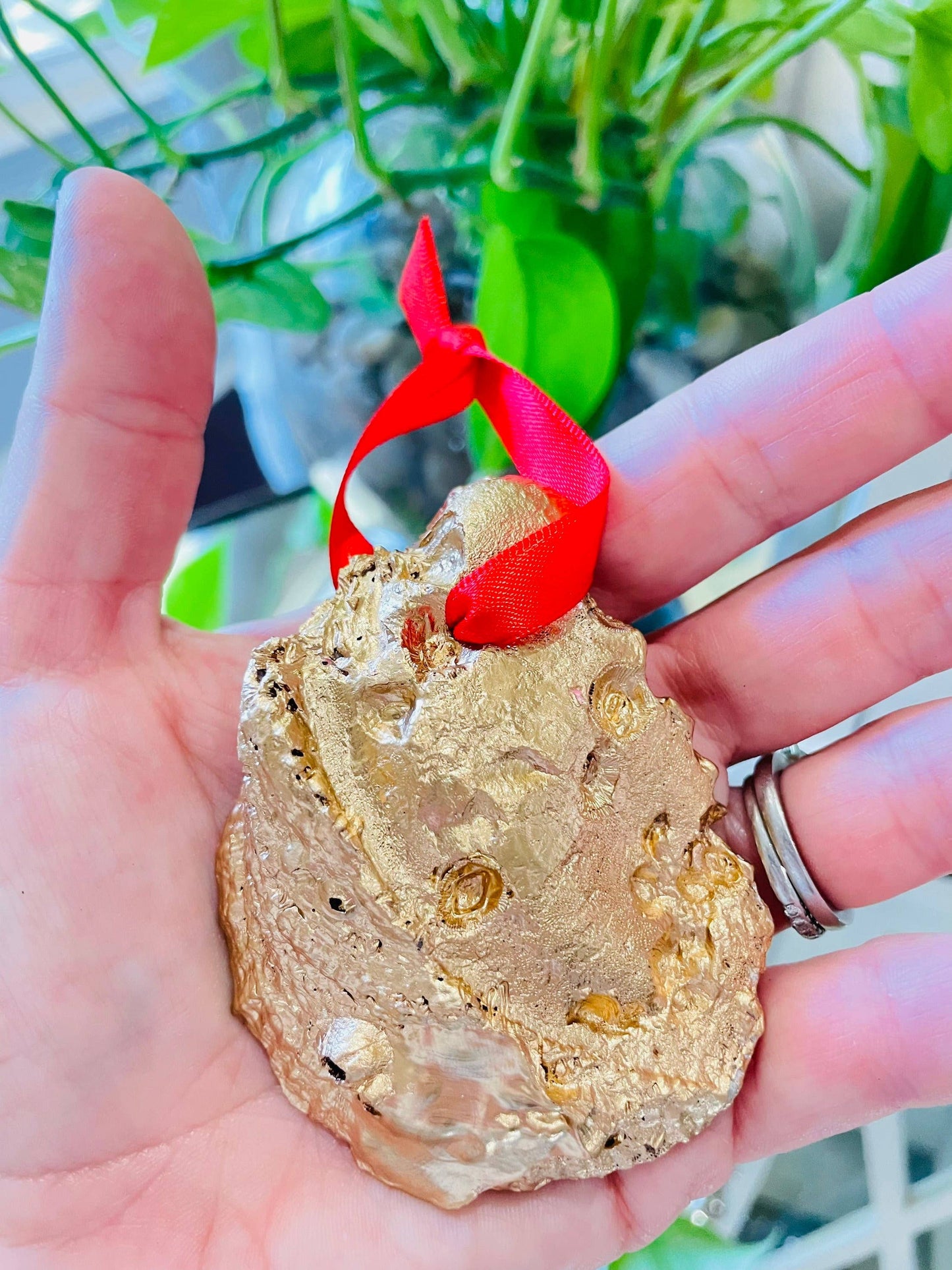 Oyster Shell Ornament