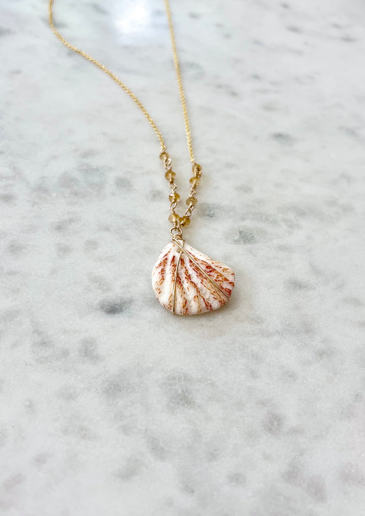 Citrine & Florida seashell pendant necklace