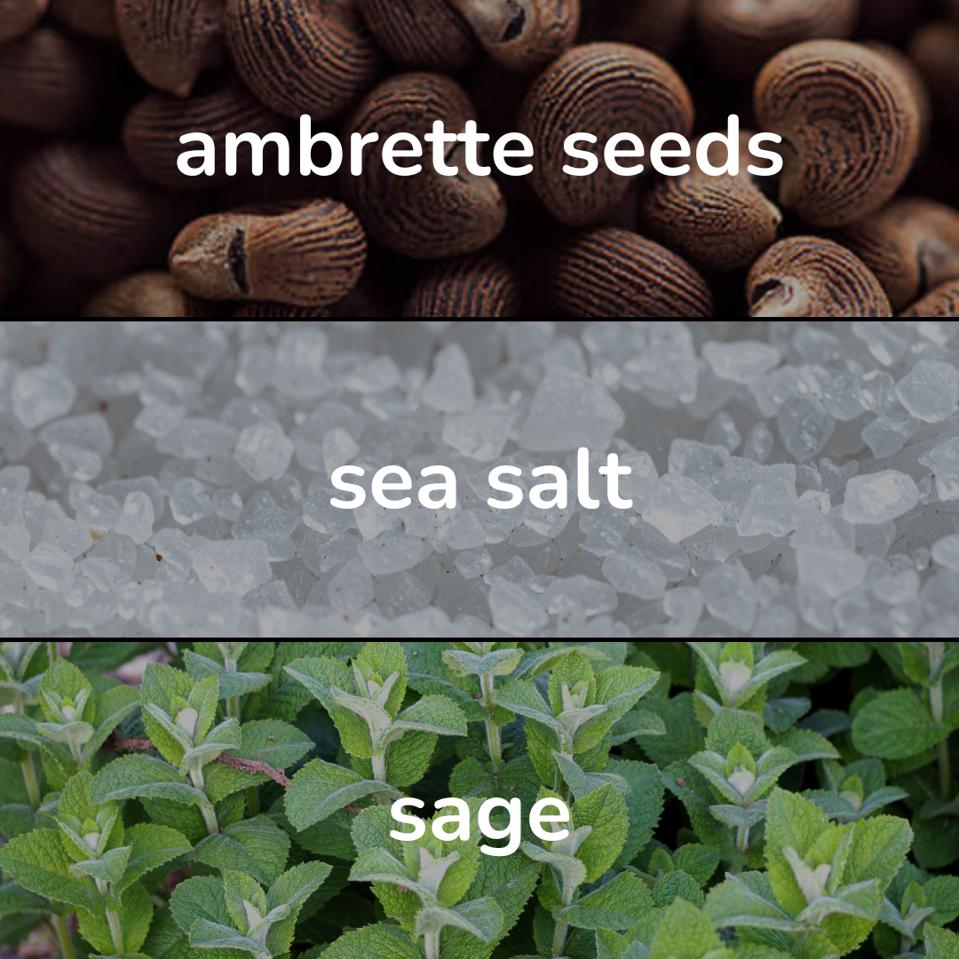 Sailor Perfume | Inspired by J.M. Wood Sage & Sea Salt