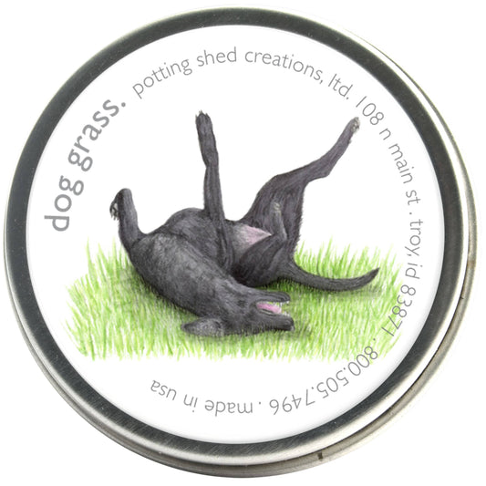 Garden Sprinkles | Dog Grass
