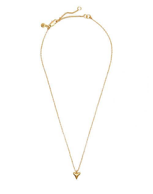 Teeny Tiny Shark Tooth Necklace