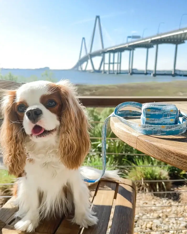 Ravenel Bridge Leash