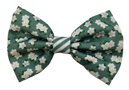 Magnolia Bow Tie