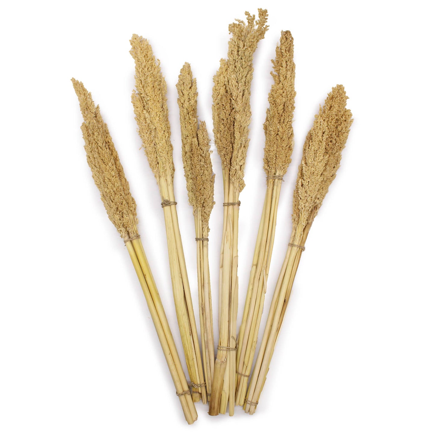 CGB-01 - Cantal Grass Bunch - Natural