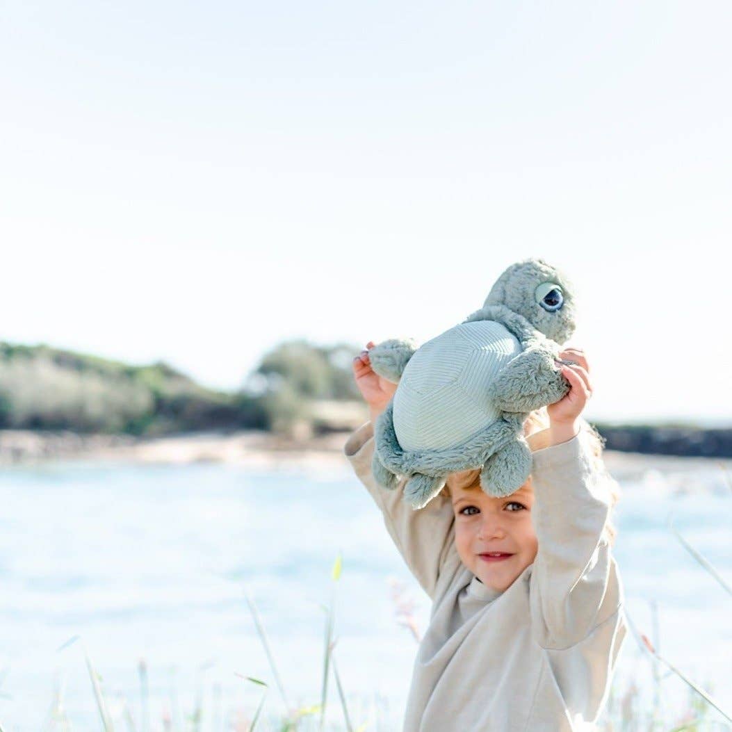 Tyler Turtle Soft toy 13"