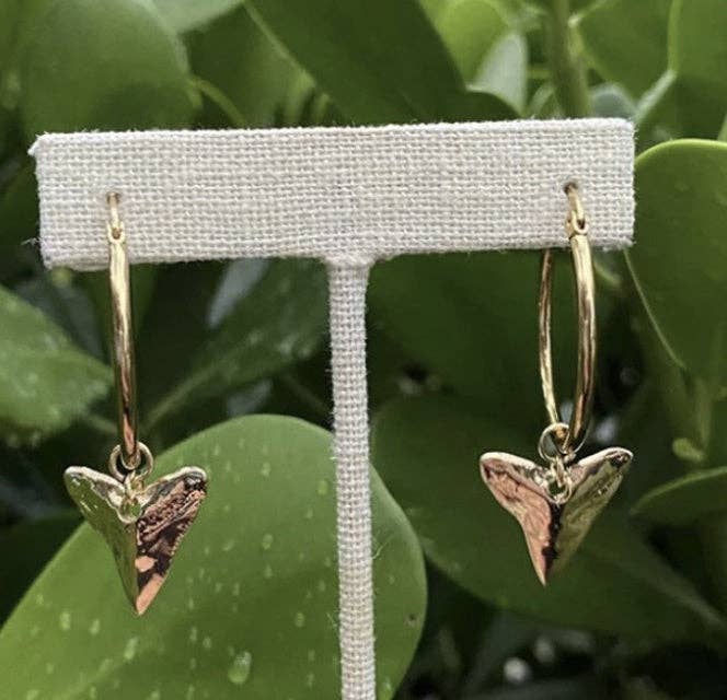 Maad Shark Hoops