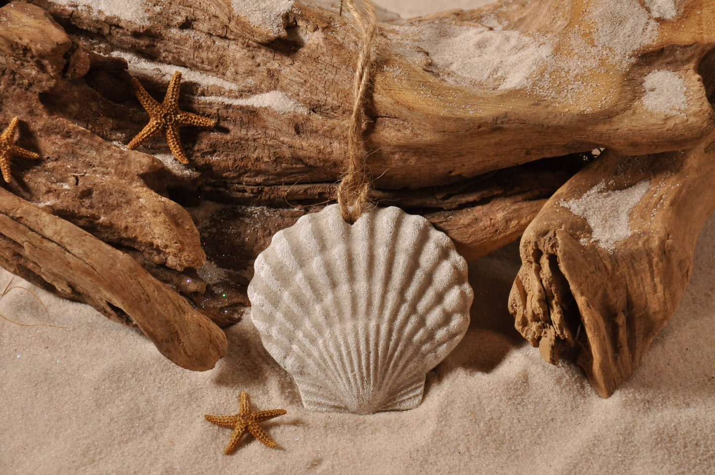 Scallop Shell Sand Ornament