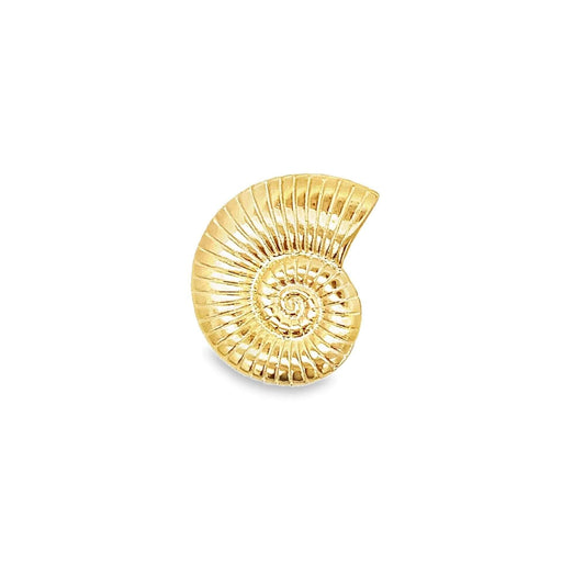 Large Seashell Pendant Necklace