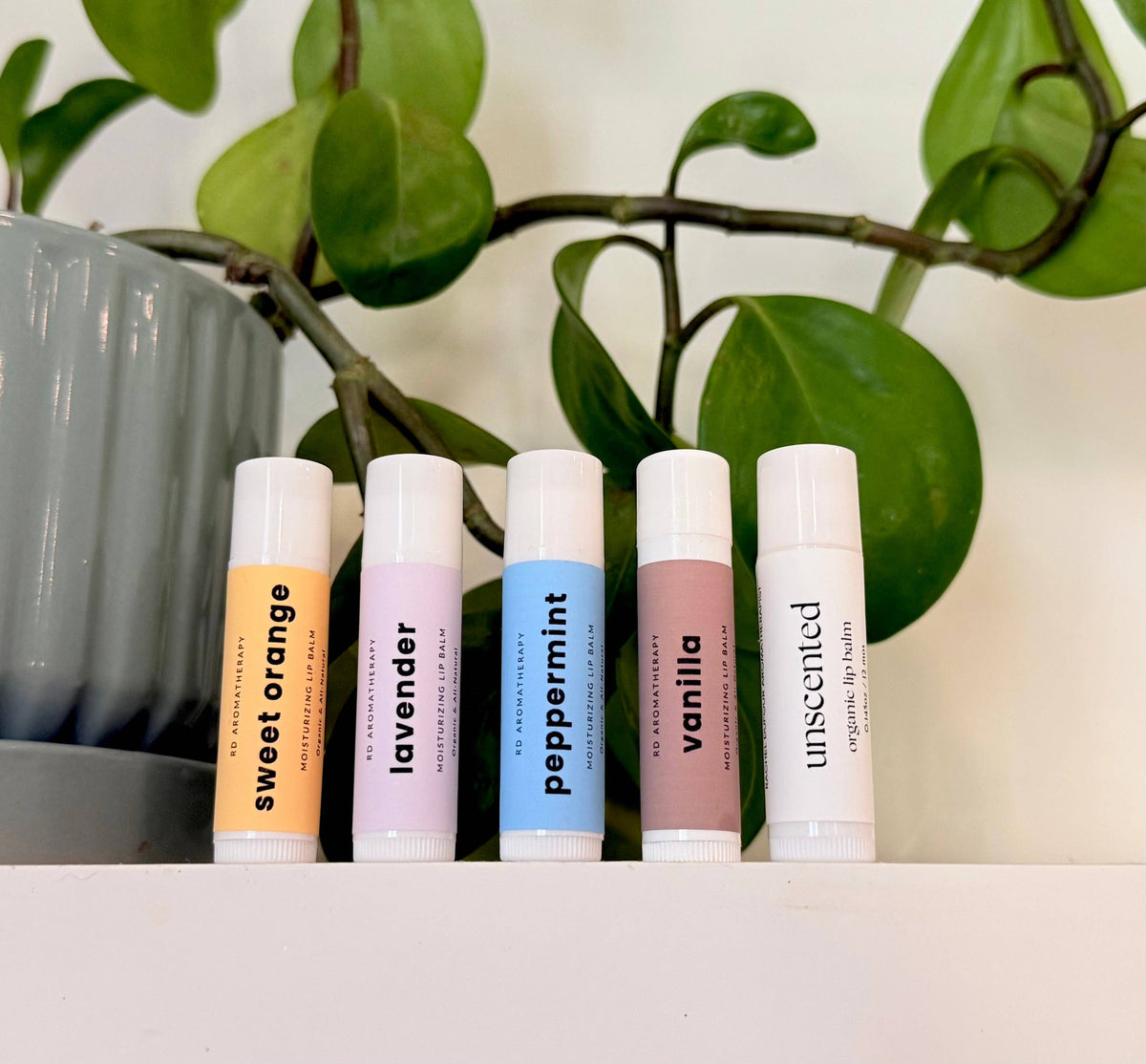 All-Natural Moisturizing Lip Balm – Handmade, Nourishing, Multiple Scents | Clean Ingredients