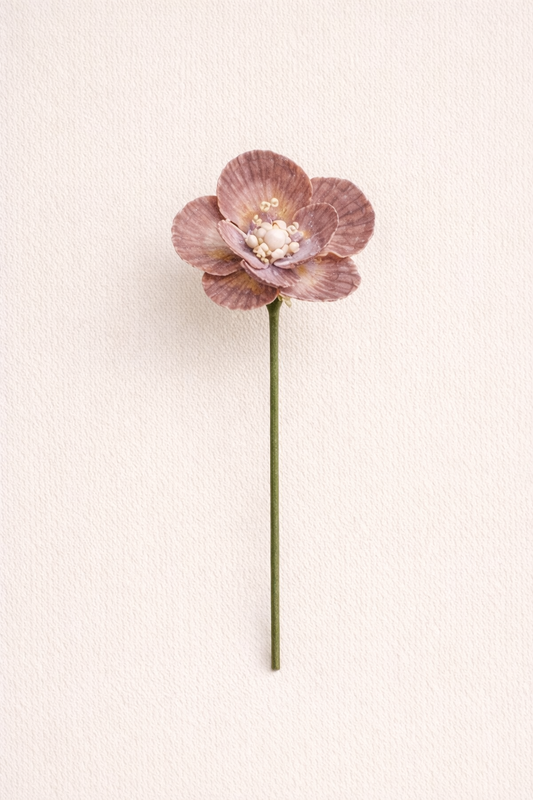 Drifted Scallop Bloom