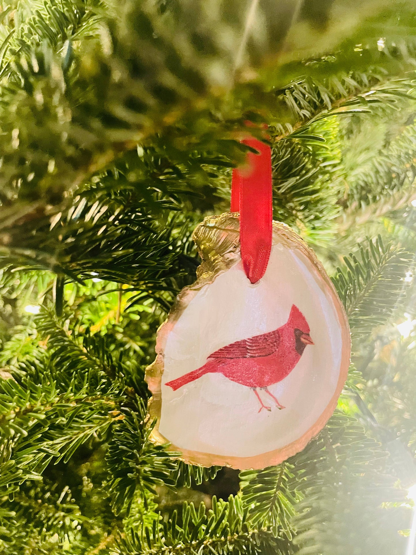 Cardinal Oyster Shell Ornament