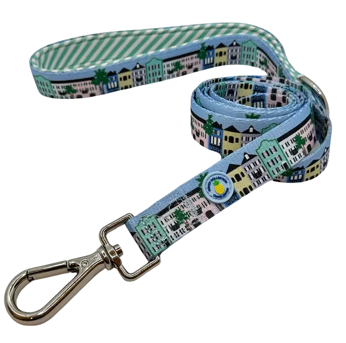 Rainbow Row Leash