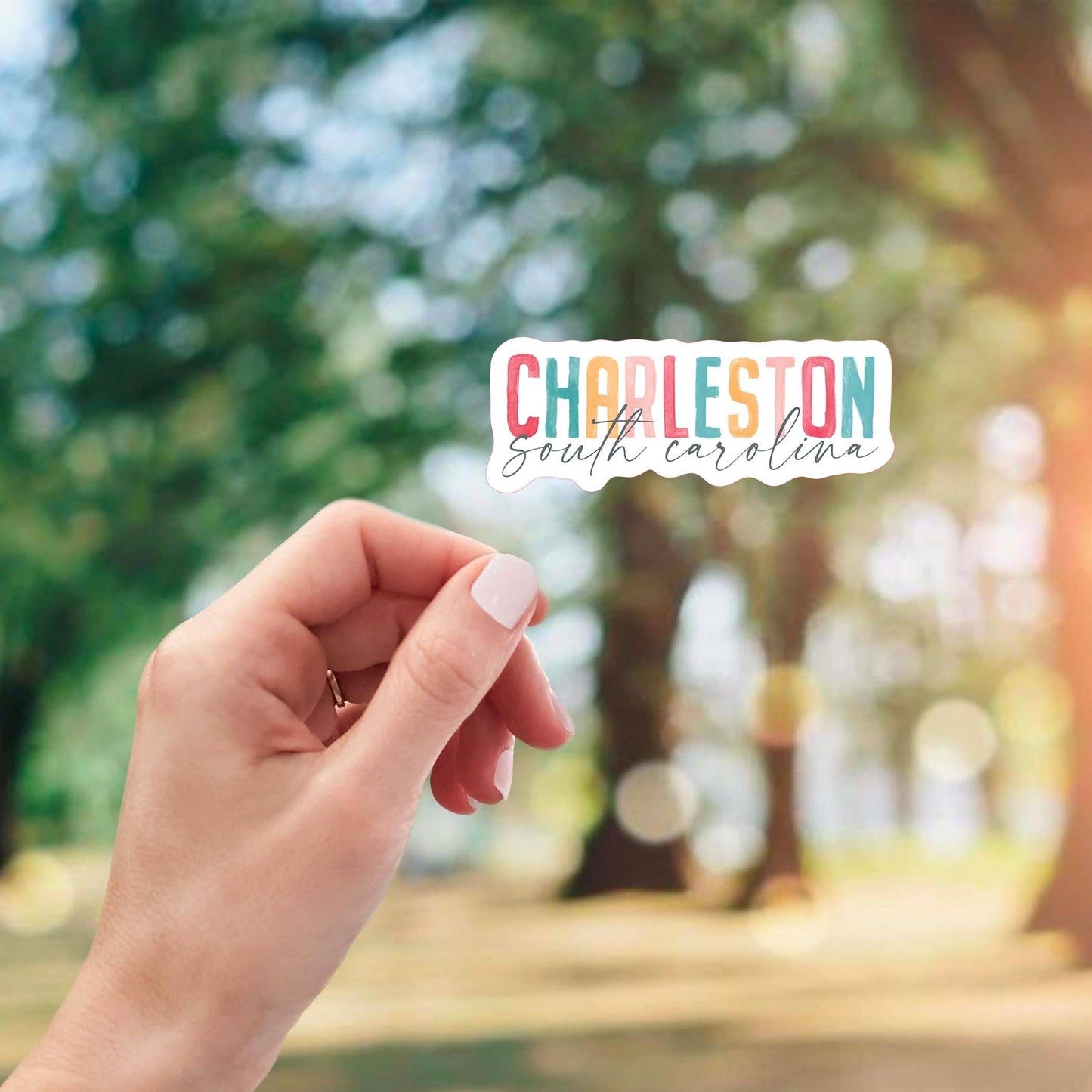 Vinyl Sticker-Watercolor City Charleston South Carolina