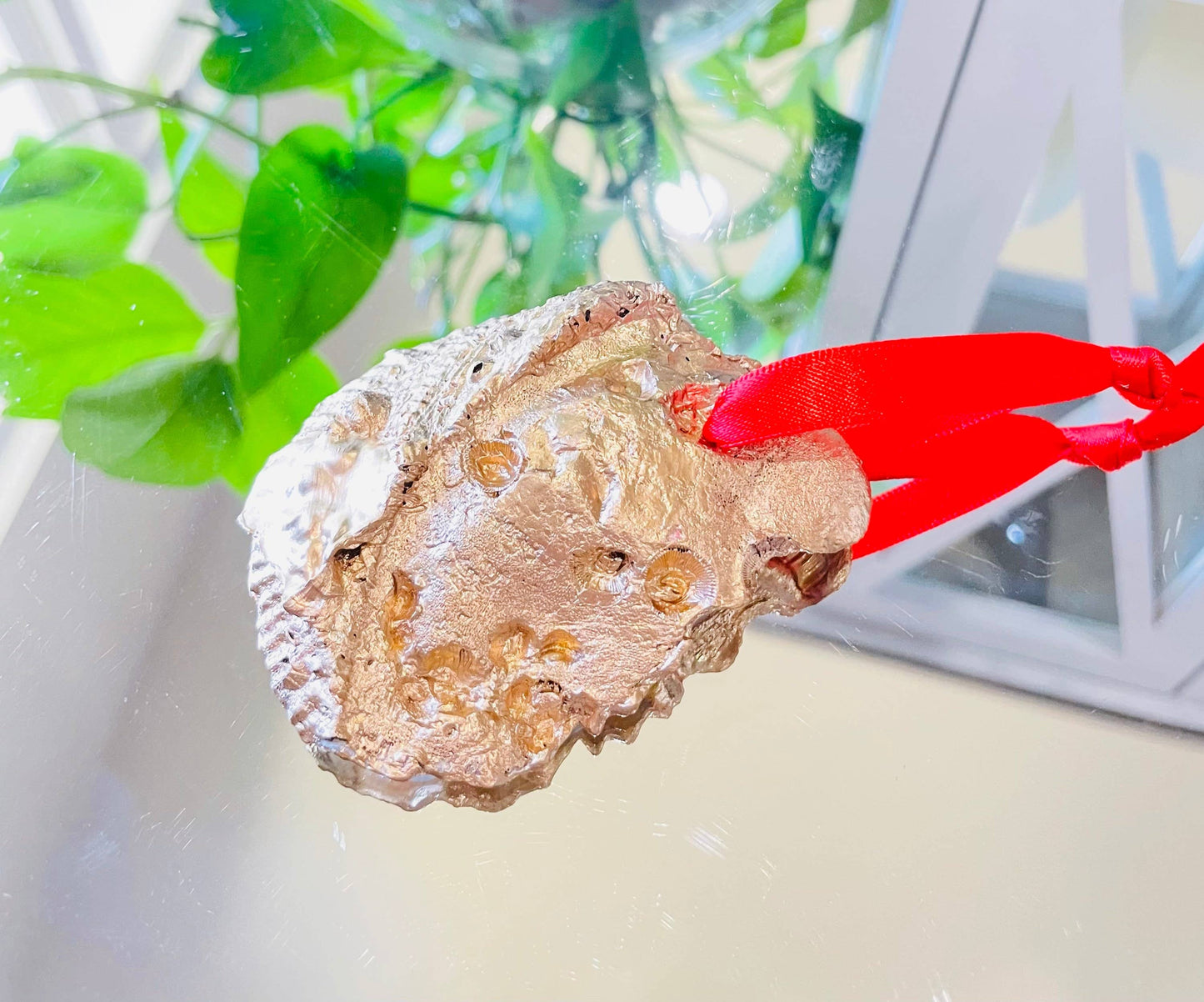 Oyster Shell Ornament