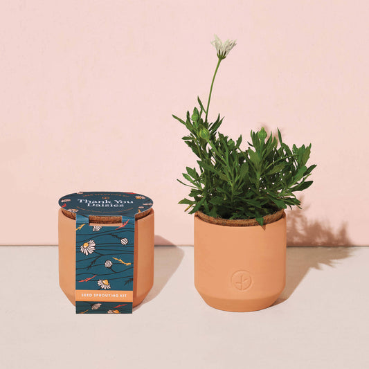 Tiny Terracotta Grow Kits~ Thank you Daisy Flowers