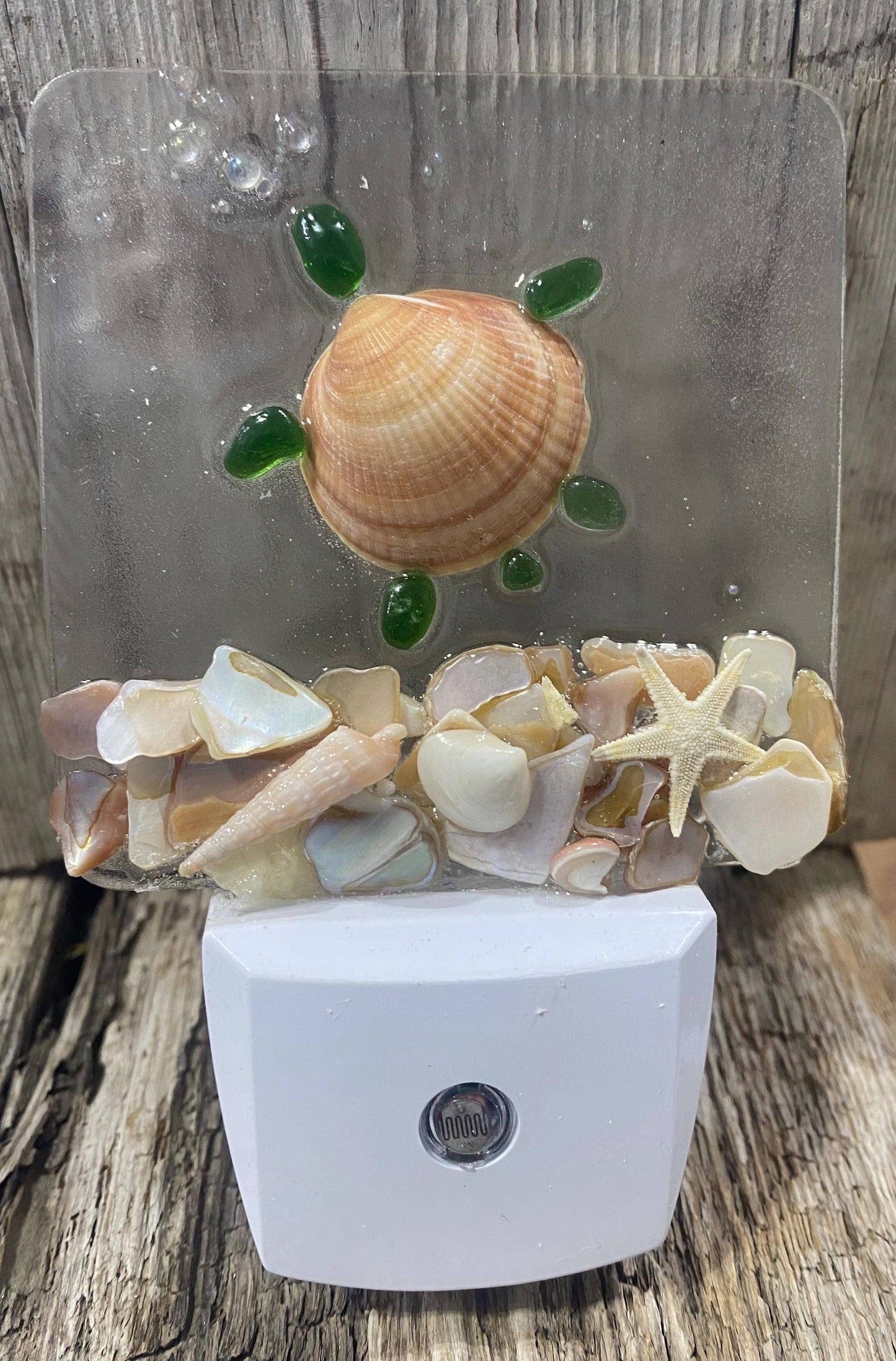 COASTAL Night Light- TURTLE, glass with shells