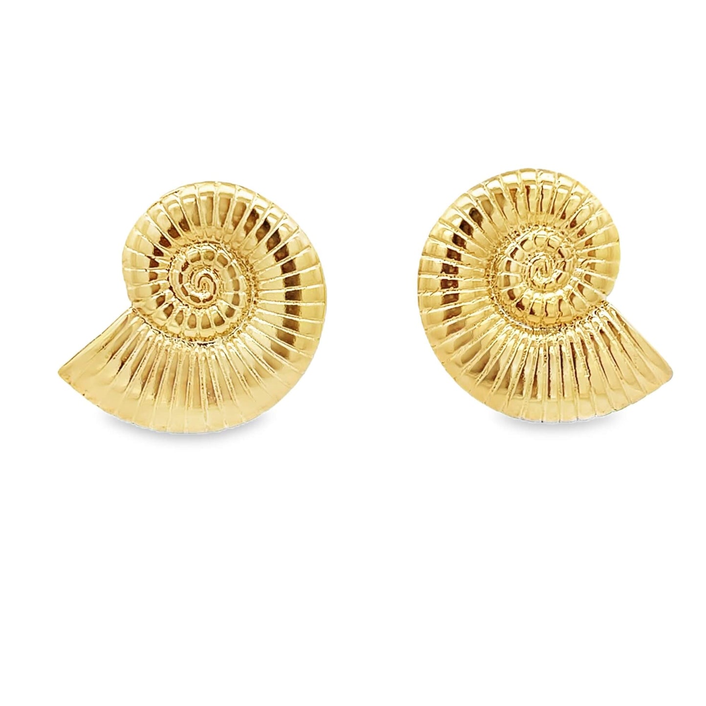Sea Shell Swirl Earrings ~ Water Resistant